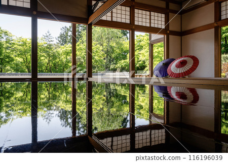 報德寺的春天地板楓樹水平對角線 報德寺的春天地板楓樹水平對角線 116196039