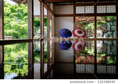 Spring maple leaves at Hotokuji Temple, horizontal, diagonal Spring maple leaves at Hotokuji Temple, horizontal, diagonal 116196040