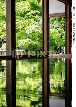 Spring maple leaves at Hotokuji Temple (vertical) Spring maple leaves at Hotokuji Temple (vertical) 116196049