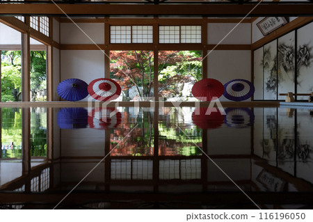 報德寺側正面的春天地板楓樹 116196050