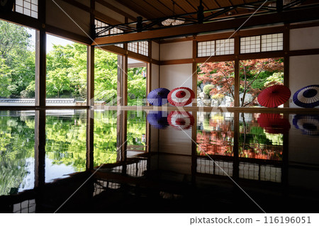 報德寺的春天地板楓樹水平對角線 116196051