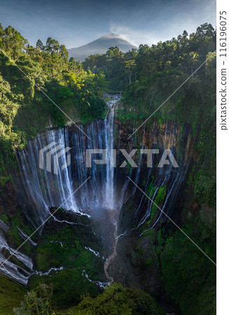 Aerial top view from above of Tumpak Sewu ,also known as Coban Sewu, 120m high waterfall in Malang regency, East Java, Indonesia 116196075
