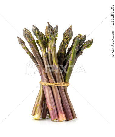 Purple Asparagus Isolated, Raw Garden Vegetables Bunch, Fresh Edible Sprouts of Red Asparagus Officinalis Purple Asparagus Isolated, Raw Garden Vegetables Bunch, Fresh Edible Sprouts of Red Asparagus Officinalis 116196103
