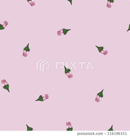 Chrysanthemum Flower Seamless Pattern. Floral Digital Paper. 116196351