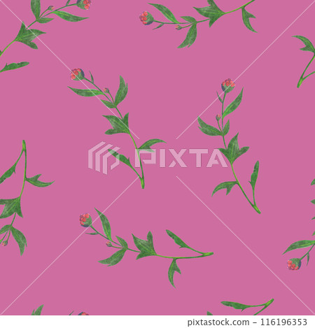 Chrysanthemum Flower Seamless Pattern. Floral Digital Paper. 116196353