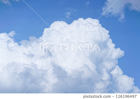 Summer blue sky and white clouds Summer blue sky and white clouds 116196497