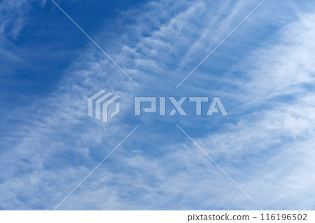 Cirrus clouds in the blue sky Cirrus clouds in the blue sky 116196502