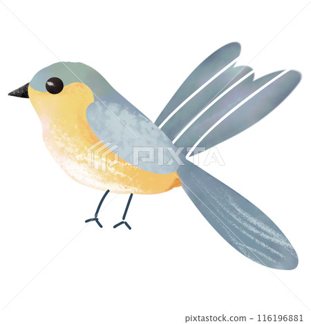 Watercolor illustration of a cute little bird isolated on white background. Watercolor illustration of a cute little bird isolated on white background. 116196881