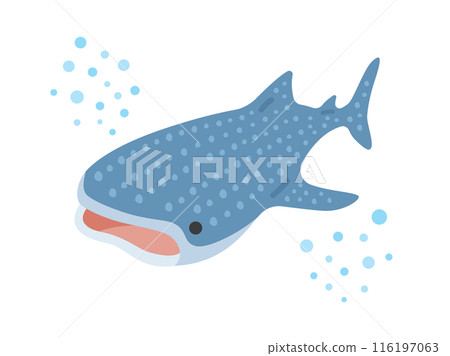 Illustration of a swimming whale shark 116197063