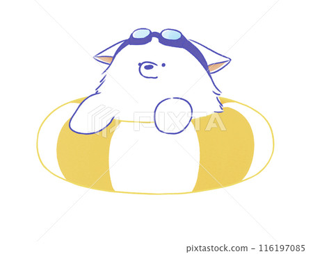 Dog floating on a swim ring 2 116197085