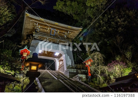 [Kanagawa Prefecture, Enoshima] Enoshima Shrine, Zuishinmon Gate, illumination 116197388