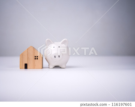 House model, piggy bank on white background, Building, mortgage, investment, real estate and property concept, Selective focus, Space for text. House model, piggy bank on white background, Building, mortgage, investment, real estate and property concept, Selective focus, Space for text. 116197601