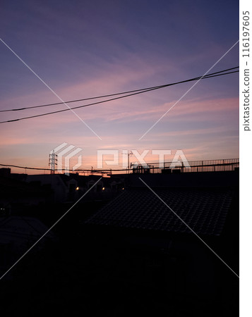 Sunset landscape with telegraph poles Sunset landscape with telegraph poles 116197605