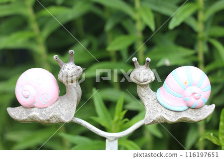 Snail 116197651