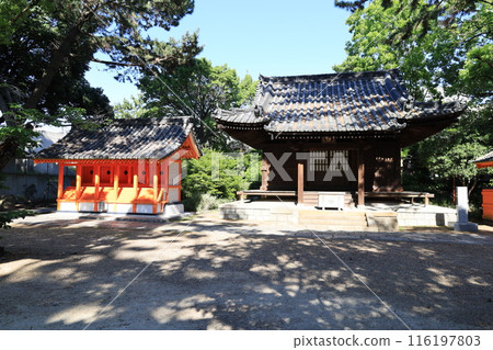 A view of the sub-shrine in the grounds of Sumiyoshi Taisha Shrine in Osaka City A view of the sub-shrine in the grounds of Sumiyoshi Taisha Shrine in Osaka City 116197803
