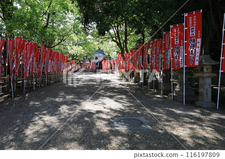大阪市住吉大社境內圖書館的遠景 116197809