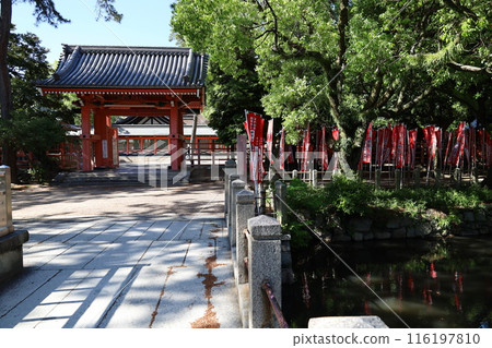 大阪市住吉大社境內的大門 116197810