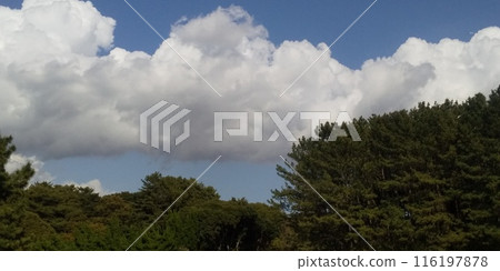 稻毛海濱公園的藍天俊郎雲 稻毛海濱公園的藍天俊郎雲 116197878