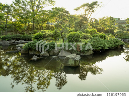 View of Fudo Pond in the Mitsui Villa area of Oiso Castle Park View of Fudo Pond in the Mitsui Villa area of Oiso Castle Park 116197963