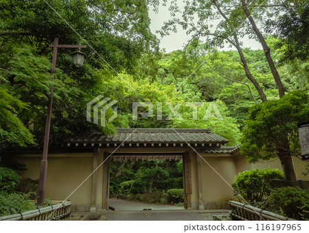 大磯城山公園三井別邸地區入口南門 大磯城山公園三井別邸地區入口南門 116197965