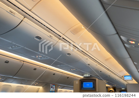 國內航班飛機內 116198244