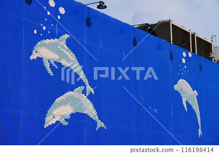 Dolphin mural 116198414