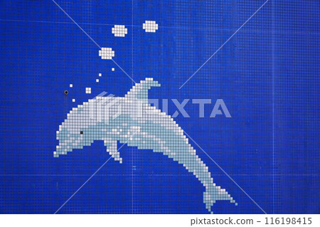 Dolphin mural 116198415