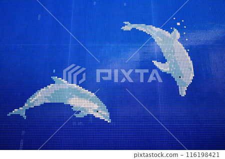 Dolphin mural 116198421