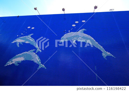 Dolphin mural Dolphin mural 116198422