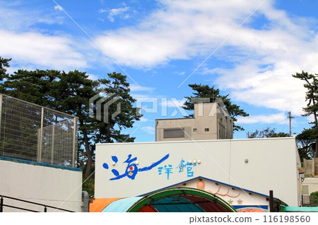 與家人一起在越前松島水族館/海洋博物館享受歡樂時光 116198560