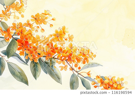 桂花水彩風格軟框 桂花水彩風格軟框 116198594