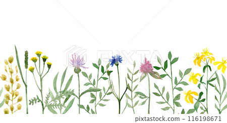 Watercolor seamless border with wildflowers and branches of grass. Hand-drawn illustration 116198671