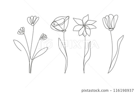 Flower in continuous outline style set vector illustration. This elegant and minimalist botanical Flower in continuous outline style set vector illustration. This elegant and minimalist botanical 116198937