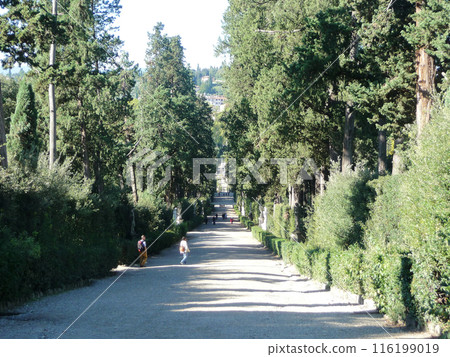 Florence, Tuscany, Italy Florence, Tuscany, Italy 116199019