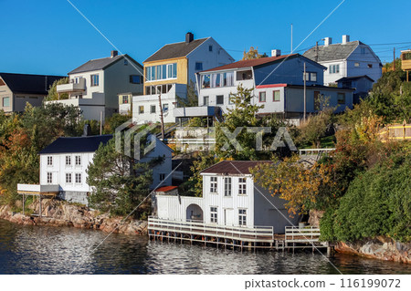 Coastal Norwegian town view with residential wooden houses 116199072