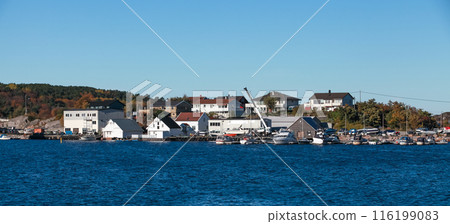 Kristiansund panoramic port view, coastal Norwegian town 116199083