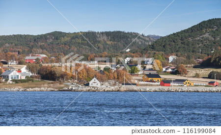 Norwegian landscape with wooden houses on sea coast 116199084
