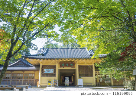 Koyasan Reihokan Museum surrounded by green autumn leaves 116199095