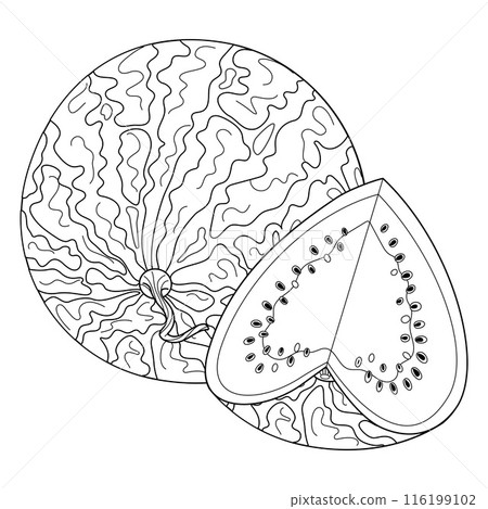 Ripe whole and cut watermelon. Hand drawn doodle style watermelon heart slice Ripe whole and cut watermelon. Hand drawn doodle style watermelon heart slice 116199102