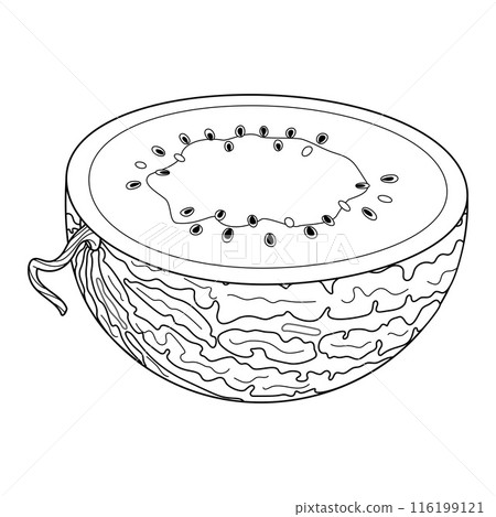 Ripe cut watermelon drawn doodle style half watermelon coloring page Ripe cut watermelon drawn doodle style half watermelon coloring page 116199121