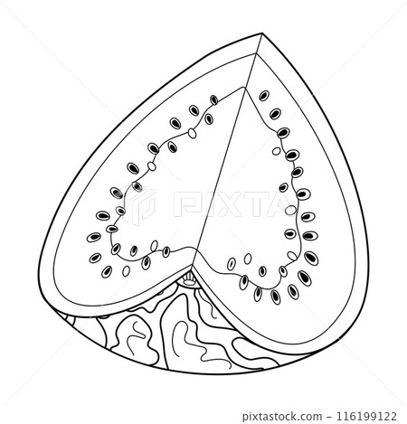 Ripe cut watermelon. Hand drawn doodle style fresh watermelon heart slice Ripe cut watermelon. Hand drawn doodle style fresh watermelon heart slice 116199122
