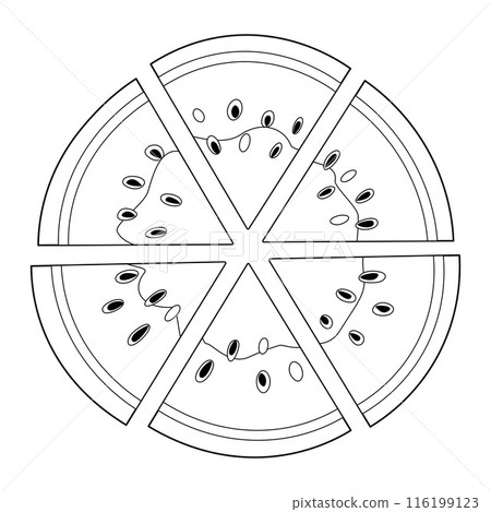 Ripe cut segmented watermelon top view Doodle style sweet summer fruit Ripe cut segmented watermelon top view Doodle style sweet summer fruit 116199123