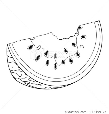 Bitten watermelon slice. Watermelon rind coloring page Bitten watermelon slice. Watermelon rind coloring page 116199124