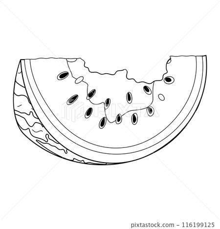 Bitten watermelon slice. Watermelon rind coloring page Bitten watermelon slice. Watermelon rind coloring page 116199125