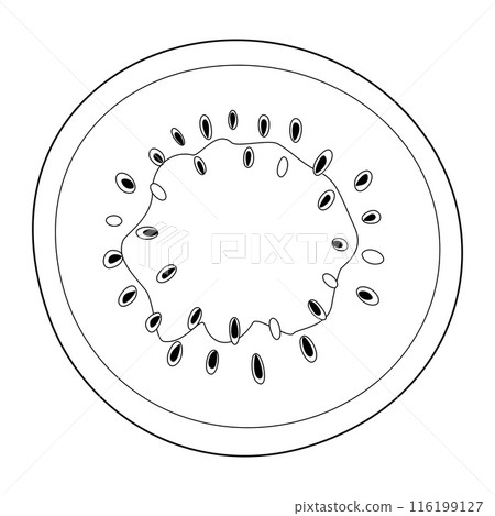 Ripe cut watermelon top view. Hand drawn doodle style summer fruit coloring page 116199127