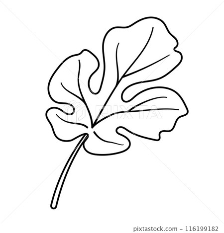 Leaf of watermelon. Hand drawn doodle style coloring page 116199182