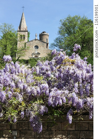 View of the chapelle des Minimes in Montmerle sur Saone, France 116199301