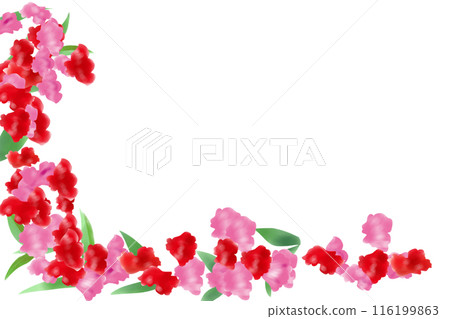 寶泉花花卡1 116199863