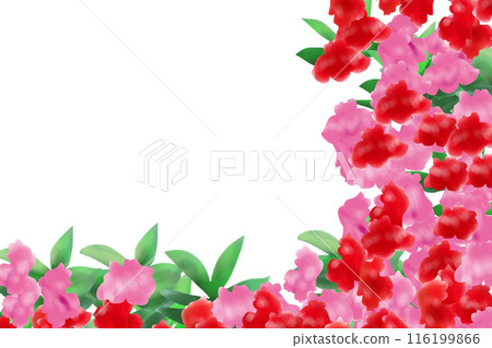 Balsam flower card 4 Balsam flower card 4 116199866
