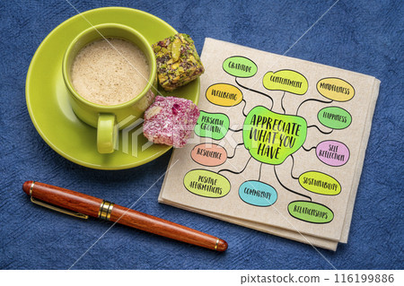 Appreciate what you have, gratitude and contentment with one's current circumstances, possessions, and relationships, lifestyle concept, mind map sketch 116199886